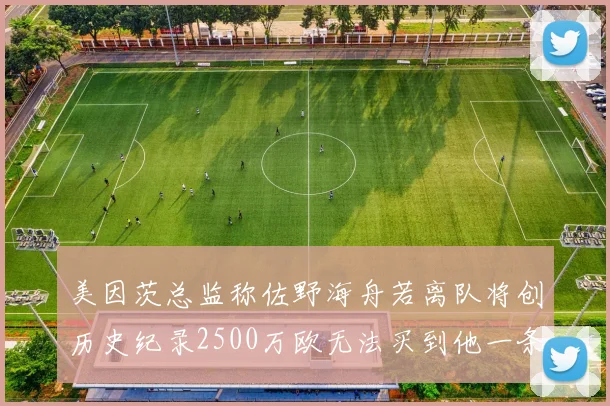 美因茨总监称佐野海舟若离队将创历史纪录2500万欧无法买到他一条腿